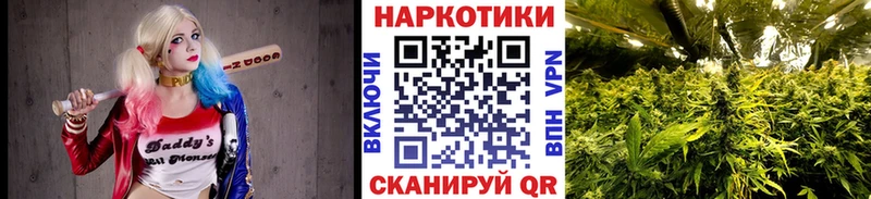 Купить Псилоцибиновые грибы  Конопля  МЕФ  Гашиш  Cocaine  Пустошка