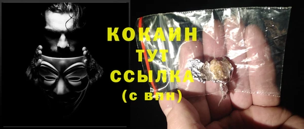 тгк Инта