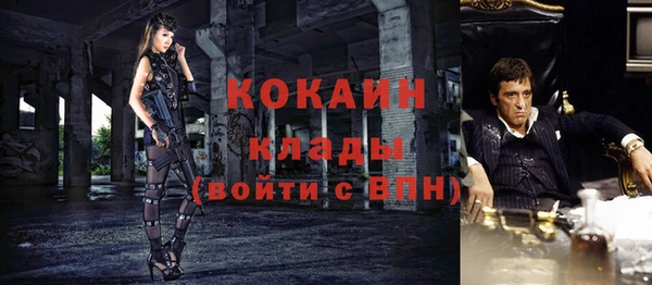 тгк Инта
