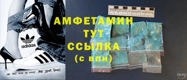 тгк Инта