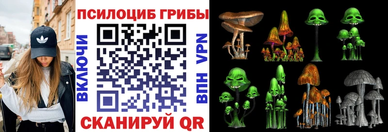 Галлюциногенные грибы GOLDEN TEACHER  Купить где  Пустошка 