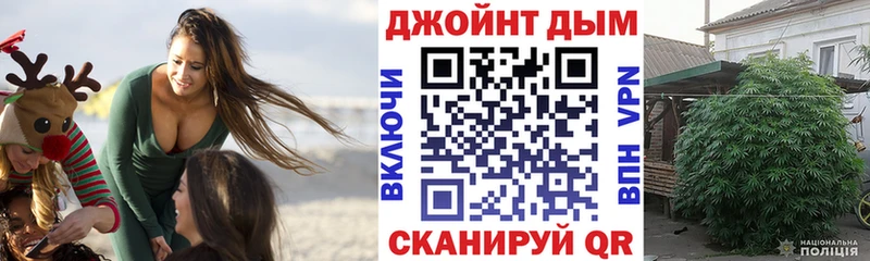 Купить где  Пустошка  Канабис Amnesia 
